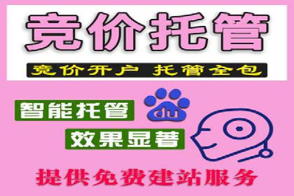 竞价推广实战：经典案例深度解析